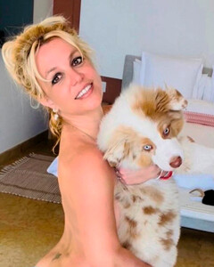 Беременная Бритни Спирс сияет от счастья в обнажённой фотосессии со своим щенком