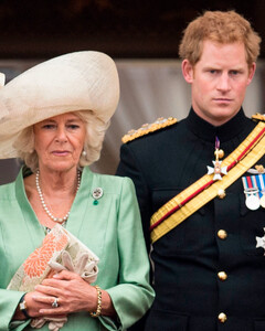 Королева-консорт Камилла поражена заявлениями принца Гарри о ней