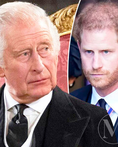 «Чего же желает твоя душенька?»: Король Карл III узнал у принца Гарри, какими он видит титулы своих детей