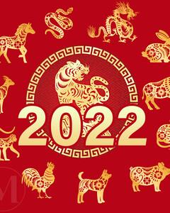 Что принесёт вам год Тигра? Китайский мастер-фэн-шуй раскрывает все секреты хозяина 2022 года