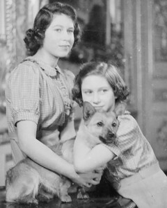 Букингемский дворец отмечает Международный день собак, опубликовав старинный снимок с Елизаветой II