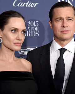 Эксперт уверен, что бракоразводный процесс Джоли и Питта продлится не менее 10 лет