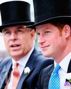 Исторический прецедент: будущее принцев Гарри и Эндрю впервые обсудили в парламенте Великобритании