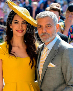 Возможно, Амаль Клуни снова беременна