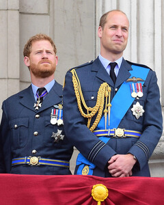 Помирятся ли принцы Гарри и Уильям во время визита Кембриджских в США?