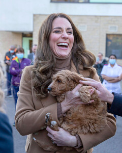 Милый щенок и действенная терапия: Кейт Миддлтон и принц Уильям пообщались с медицинскими работниками
