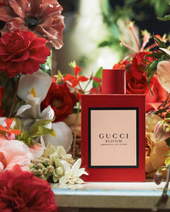 Новый аромат Gucci Bloom «покраснел» дамасской розой