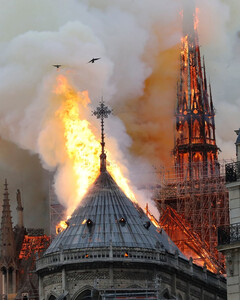 О пожаре в соборе Парижской богоматери будет снят сериал