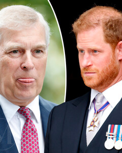 Почему полиция Великобритании готова обеспечивать охрану принцу Эндрю, но не принцу Гарри?