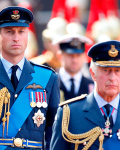 Как действовала бы британская корона, если бы принц Чарльз отказался от престола в пользу сына — принца Уильяма