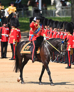 Принц Уильям руководил шествием на репетиции Trooping the Colour, однако не обошлось без происшествий