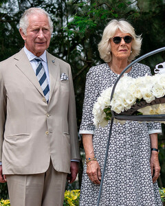 Власть в руках Уэльских: принц Чарльз и Камилла Паркер-Боулз заменили королеву на главном собрании Содружества