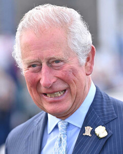 Принц Чарльз стоит тех миллионов, которые ему платят