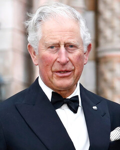 Принц Чарльз планирует уехать из Англии, когда туда приедет его сын Гарри
