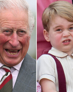Принц Чарльз познакомился с тёзкой своего внука — конём по кличке Принц Джордж!