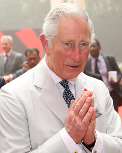 Принц Чарльз собирает средства для Индии на борьбу с коронавирусом
