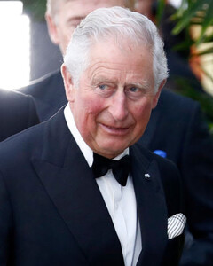 Кто помог принцу Чарльзу пережить кризисный период в отношениях с принцем Гарри