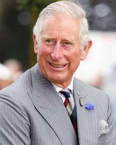 Принц Чарльз вздохнул с облегчением, перестав оплачивать счета принца Гарри и Меган Маркл