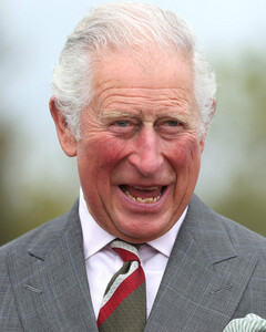 «Огромное количество людей ждало, когда я уйду», — принц Чарльз пошутил над отношением к нему британцев