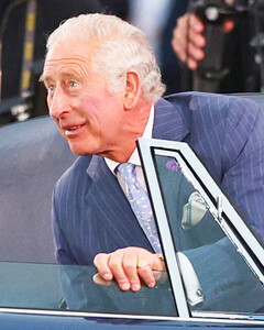 Принц Чарльз открыл Игры Содружества на автомобиле Aston Martin, работающим на сыре и вине