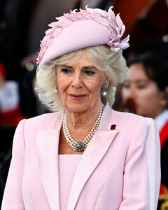 Почему королева Камилла выбрала розовое платье для памятной церемонии D-Day?