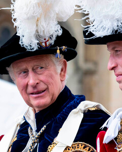 Елизавета II запретила принцу Эндрю участвовать в церемонии Ордена Подвязки из-за требований принцев Уильяма и Чарльза