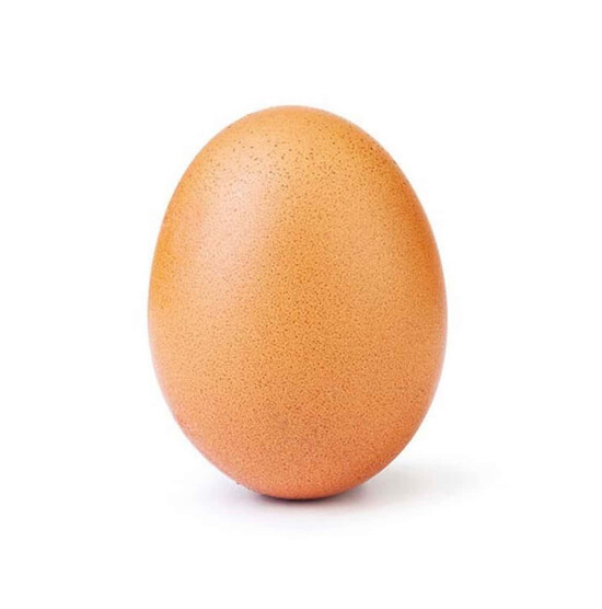 Самое знаменитое яйцо дало интервью
