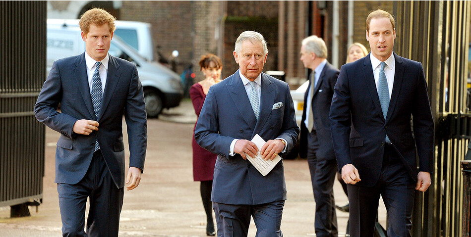 Эксперт утверждает, что все интервью принца Гарри приводят в бешенство будущих наследников престола &mdash; принцев Чарльза и Уильяма