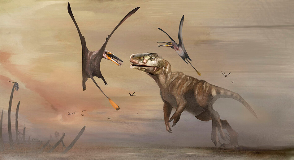 Соотношения птерозавра с динозавром Рекс