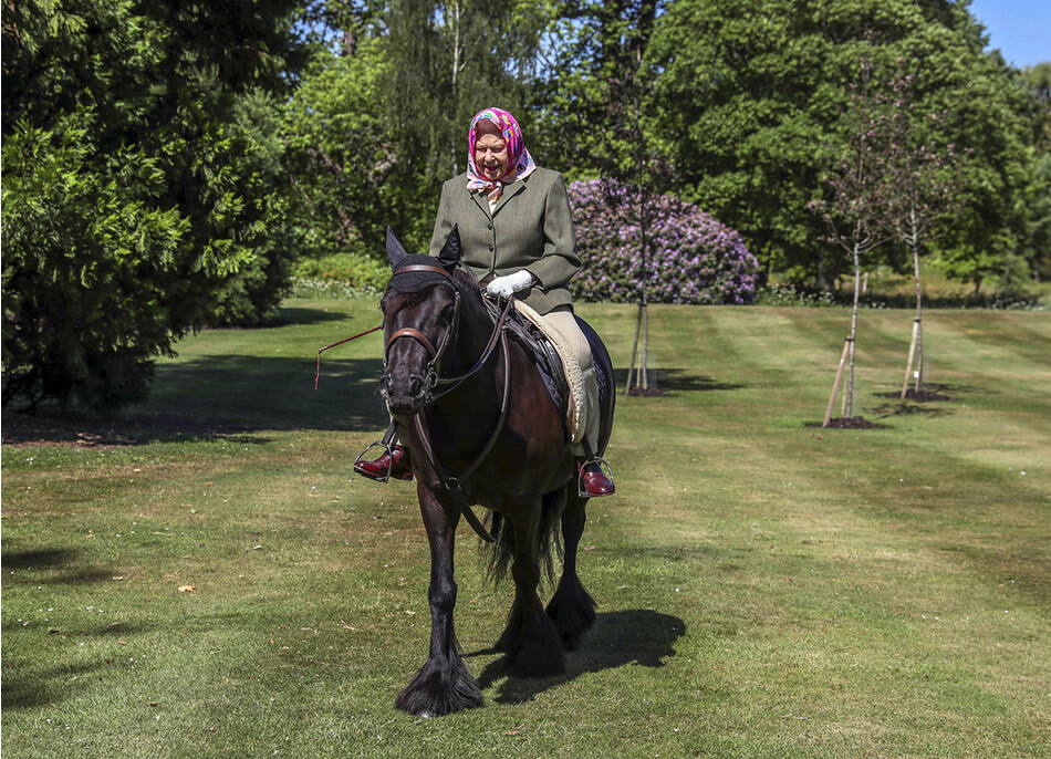 Елизавета II конный спорт