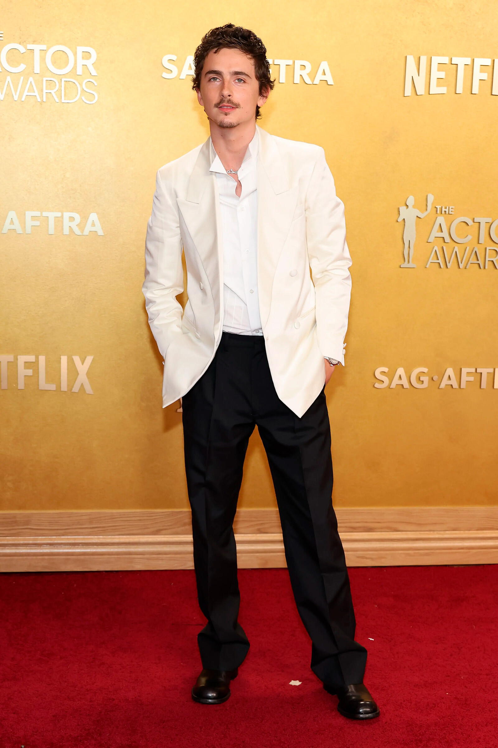 Тимоти Шаламе уже не раз критиковал балет и оперу