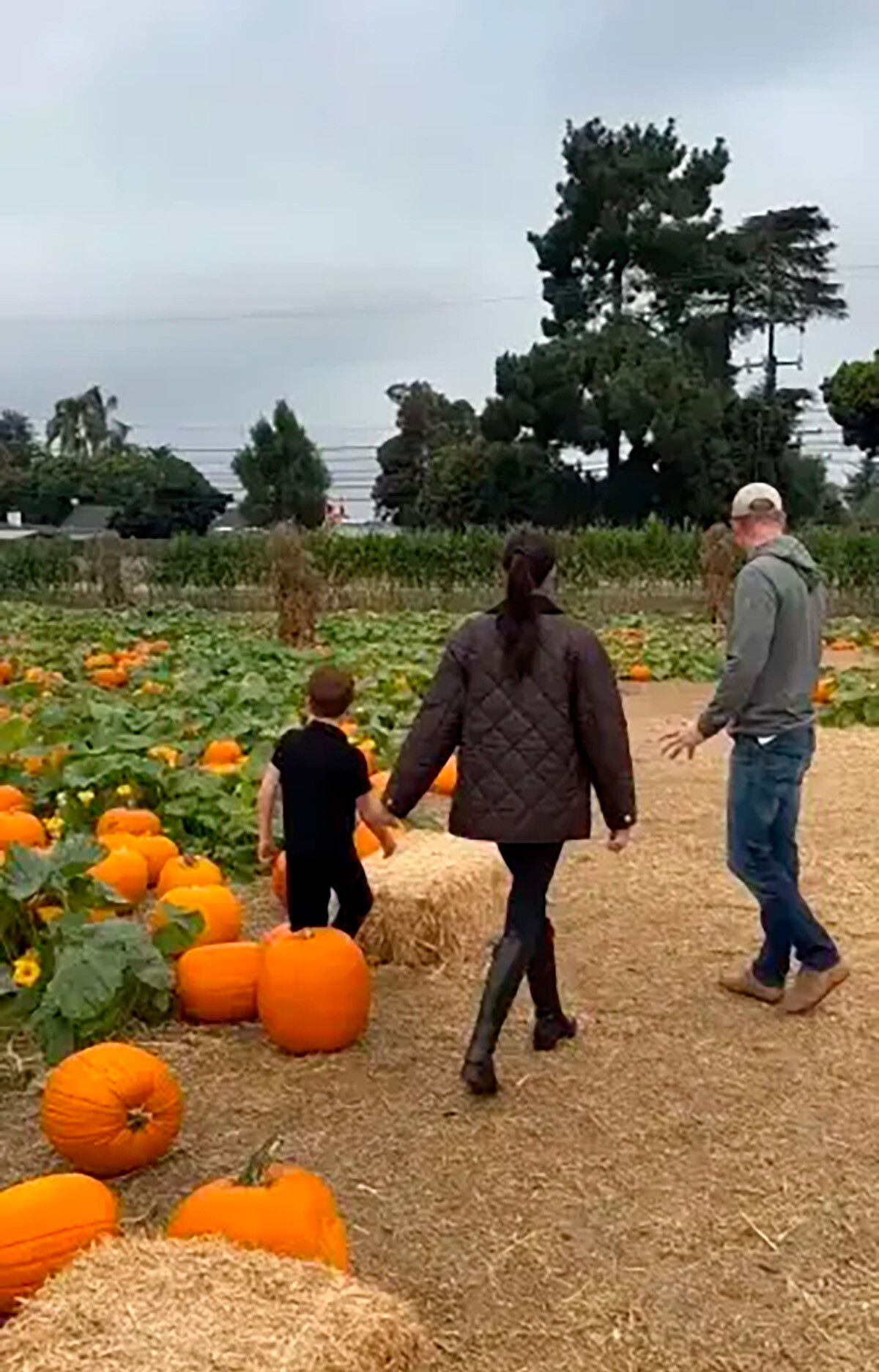 Принц Гарри и Меган Маркл с сыном Арчи на тыквенной ферме, 2025