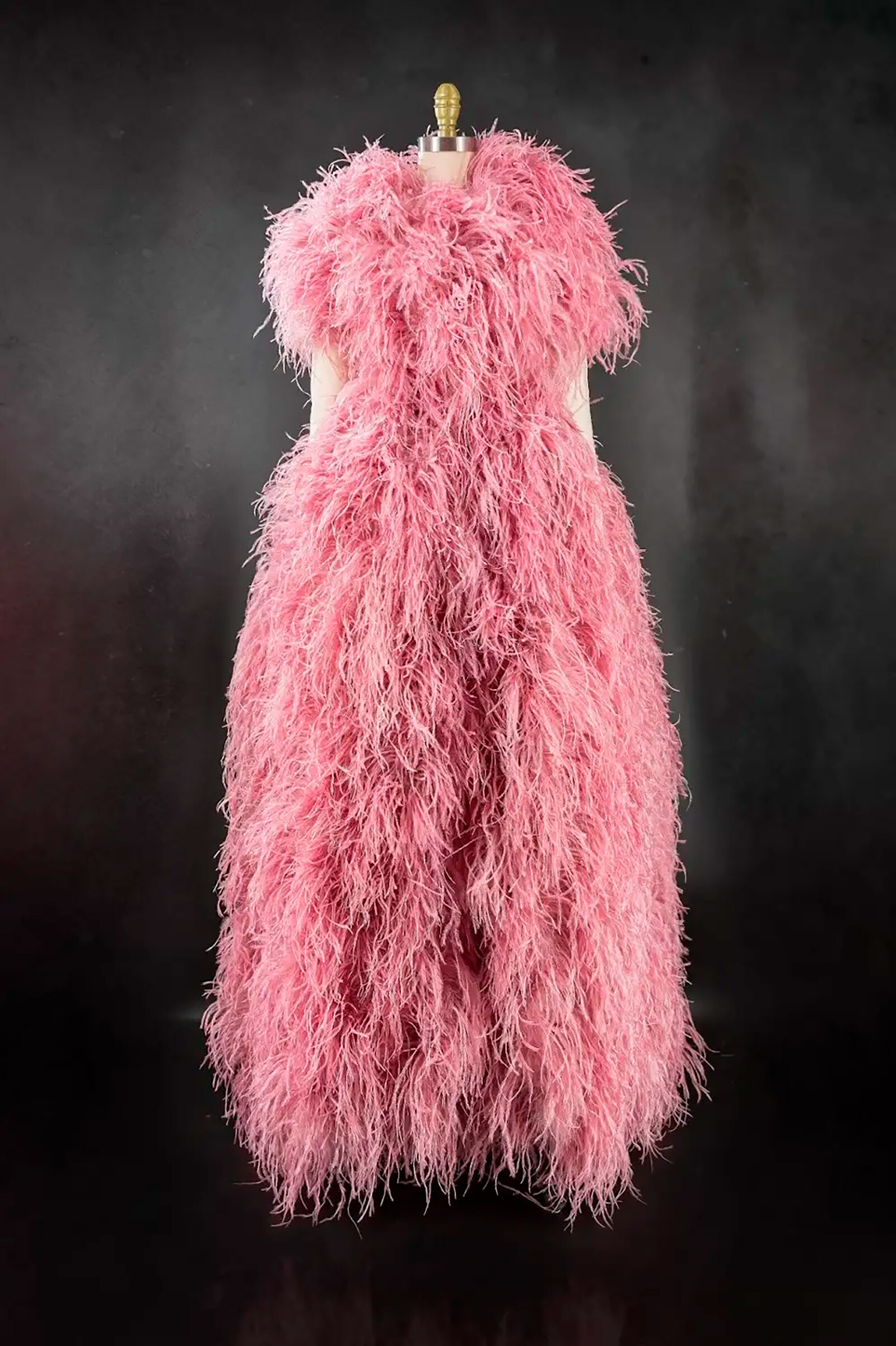 Сестра Леди Гаги дебютирует на Неделе моды в Лас-Вегасе