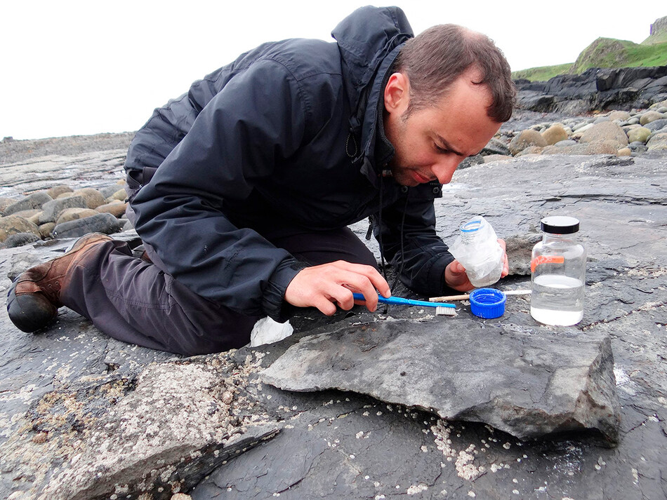 Палеонтолог из Эдинбургского университета Стив Брусатте работает над сохранением окаменелости птерозавра, по имени &laquo;Dearc sgiathanach&raquo;, остров Скай, Шотландия, Великобритания, май 2017