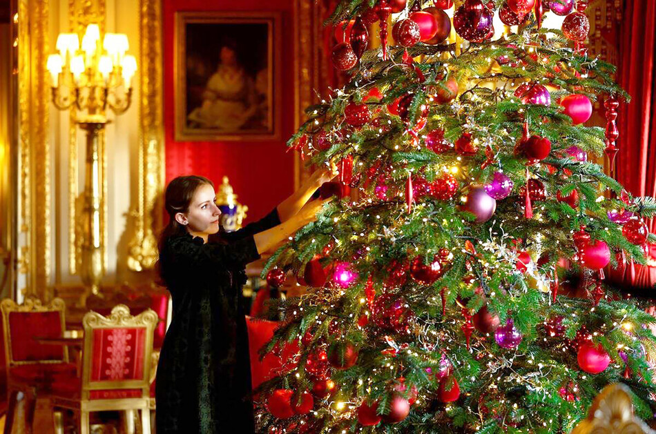 Сотрудник фонда Royal Collection Trust украшает недавно установленную рождественскую ёлку в Багровой гостиной в Виндзорском замке, 2022г.