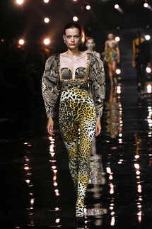 Roberto Cavalli коллекция весна-лето 2023 / Roberto Cavalli Spring 2023