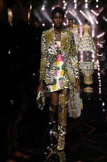 Roberto Cavalli коллекция весна-лето 2023 / Roberto Cavalli Spring 2023