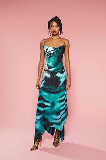Roberto Cavalli Pre Fall 2022 Collection / Roberto Cavalli осень 2022
