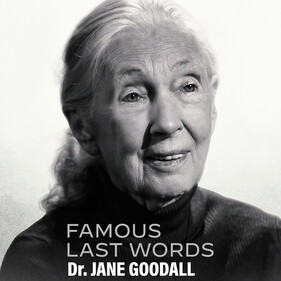 Netflix запустил проект с интервью умерших знаменитостей