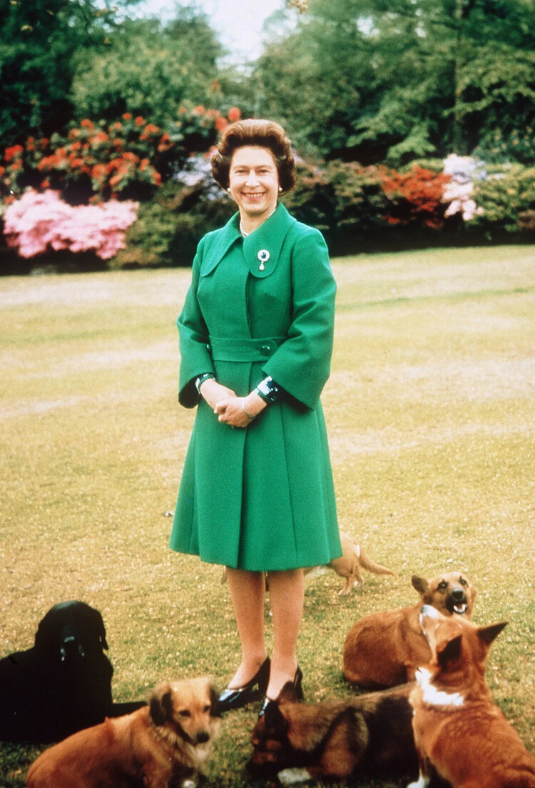 Елизаветы II со своими собаками, 1980