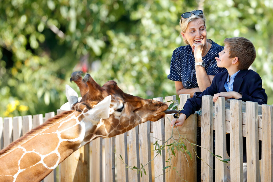 Софи, графиня Уэссекская и Джеймс, виконт Северн, кормят жирафа во время посещения проекта &laquo;Дикое место&raquo; в Бристольском зоопарке 23 июля 2019 год, Бристоль, Англия