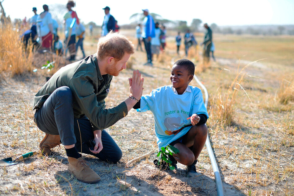 Принц Гарри, герцог Сассекский, помогает местным школьникам сажать деревья в заповеднике деревьев Чобе в Ботсване на четвертый день их тура по Африке 26 сентября 2019 г. в Национальном парке Чобе, Ботсвана