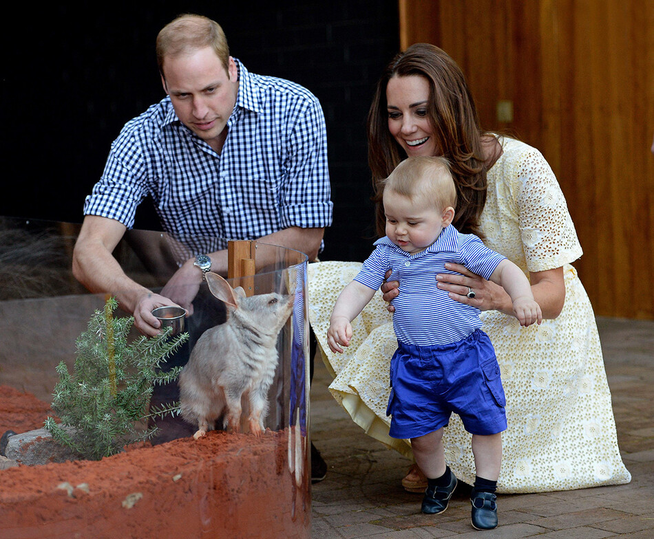 Принц Уильям и Кейт Миддлтон с принцем Джорджем в зоопарке Сиднея, 2014