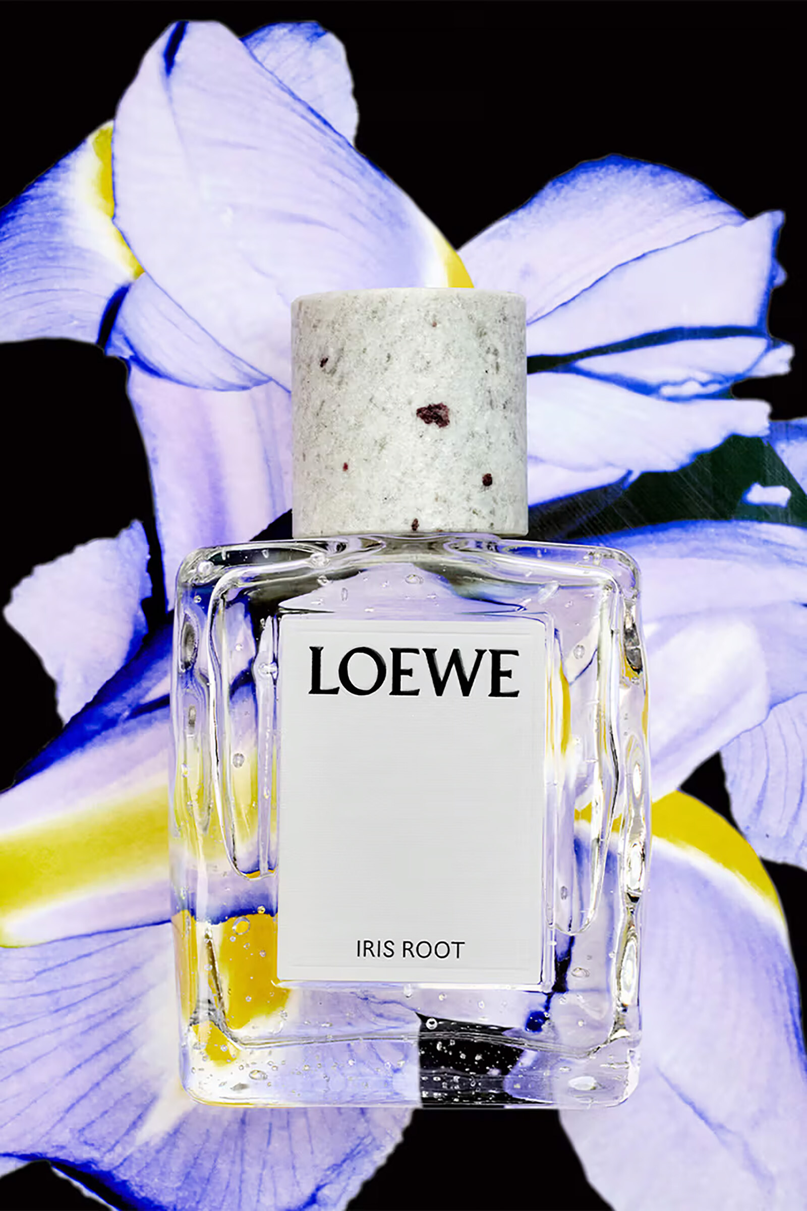 Loewe Perfumes Crafted