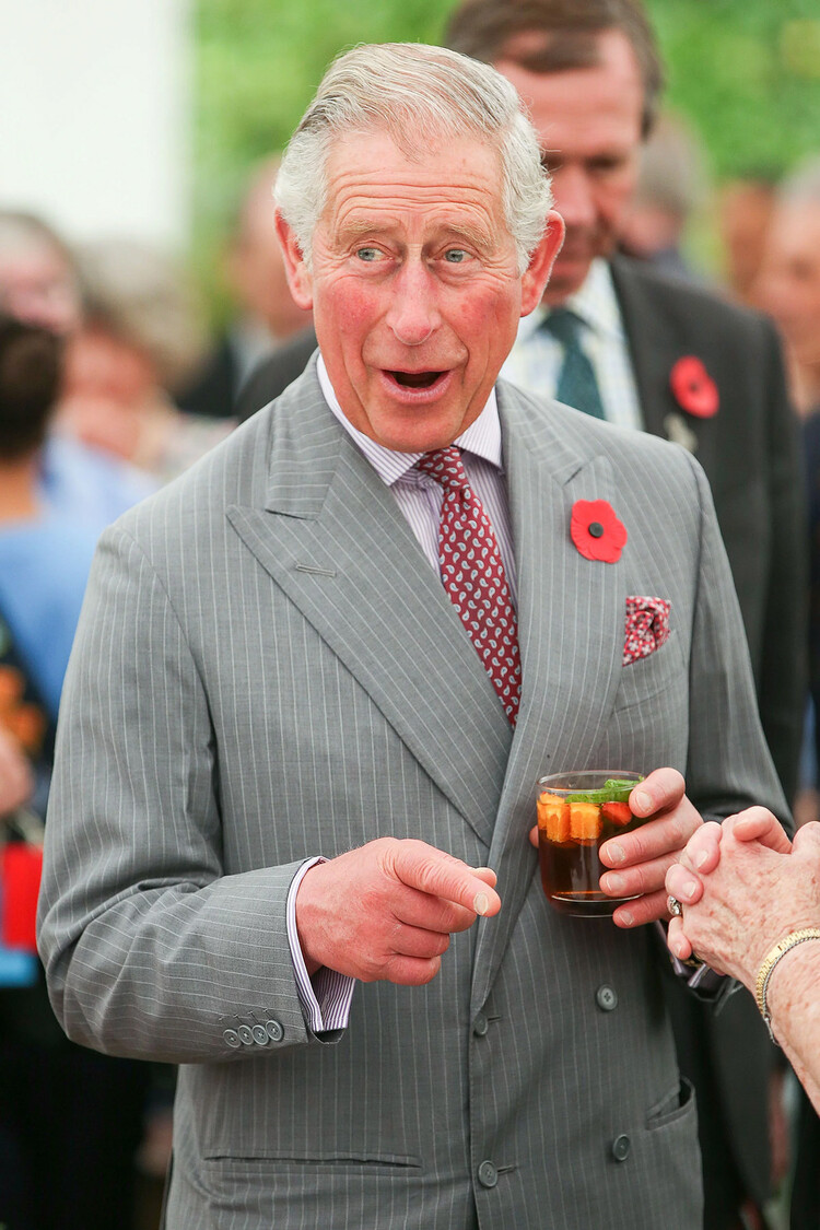 Принц Чарльз во время королевского тура по Новой Зеландии, 2015