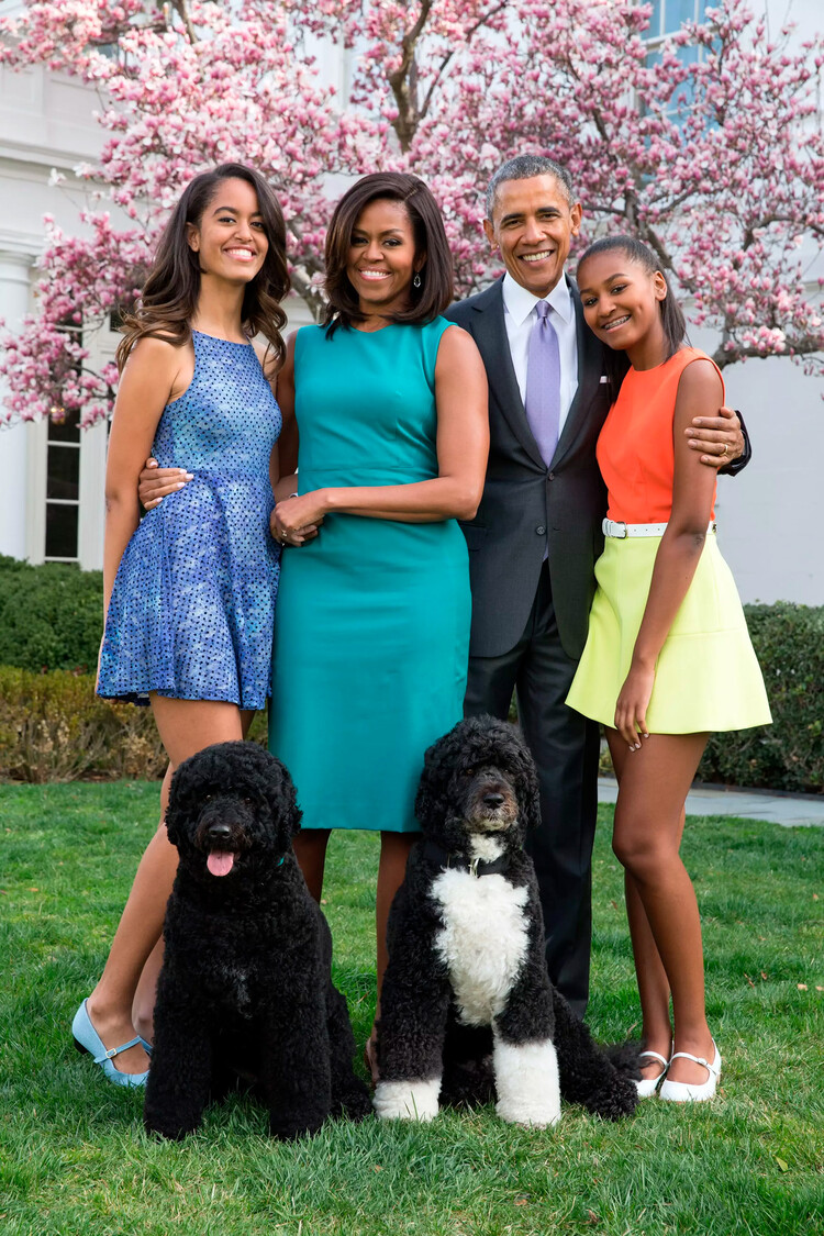 Барак Обама, Мишель Обама и дочери Малия (слева) и Саша (справа) позируют для семейного портрета со своими питомцами Бо и Санни в Розовом саду Белого дома в пасхальное воскресенье , 5 апреля 2015 года, Вашингтон, округ Колумбия