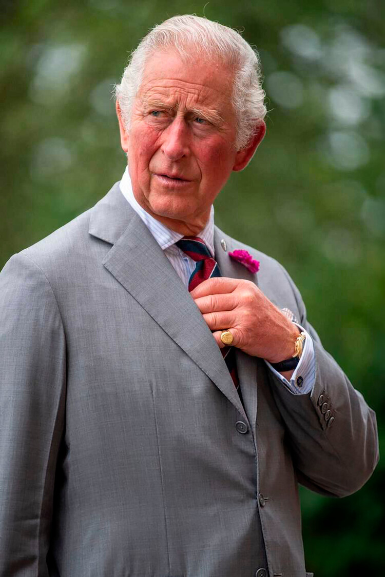 Принц Чарльз, принц Уэльский во время посещения Национального ботанического сада Уэльса 6 июля 2022 года в Ланартне, Уэльс
