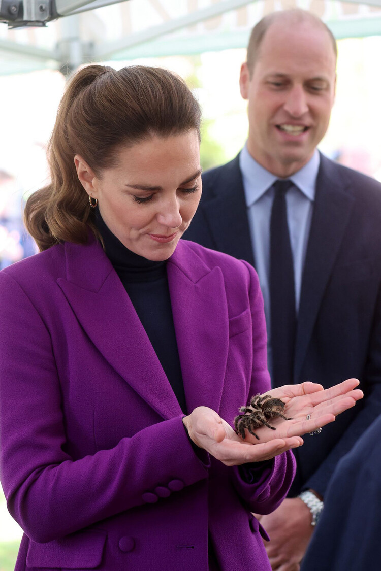 Принц Уильям и Кейт Миддлтон в контактном зоопарке в&nbsp;Северной Ирландии, 2021
