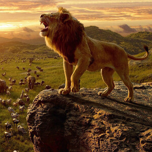 «Король Лев» забрал «Золотого Орла»