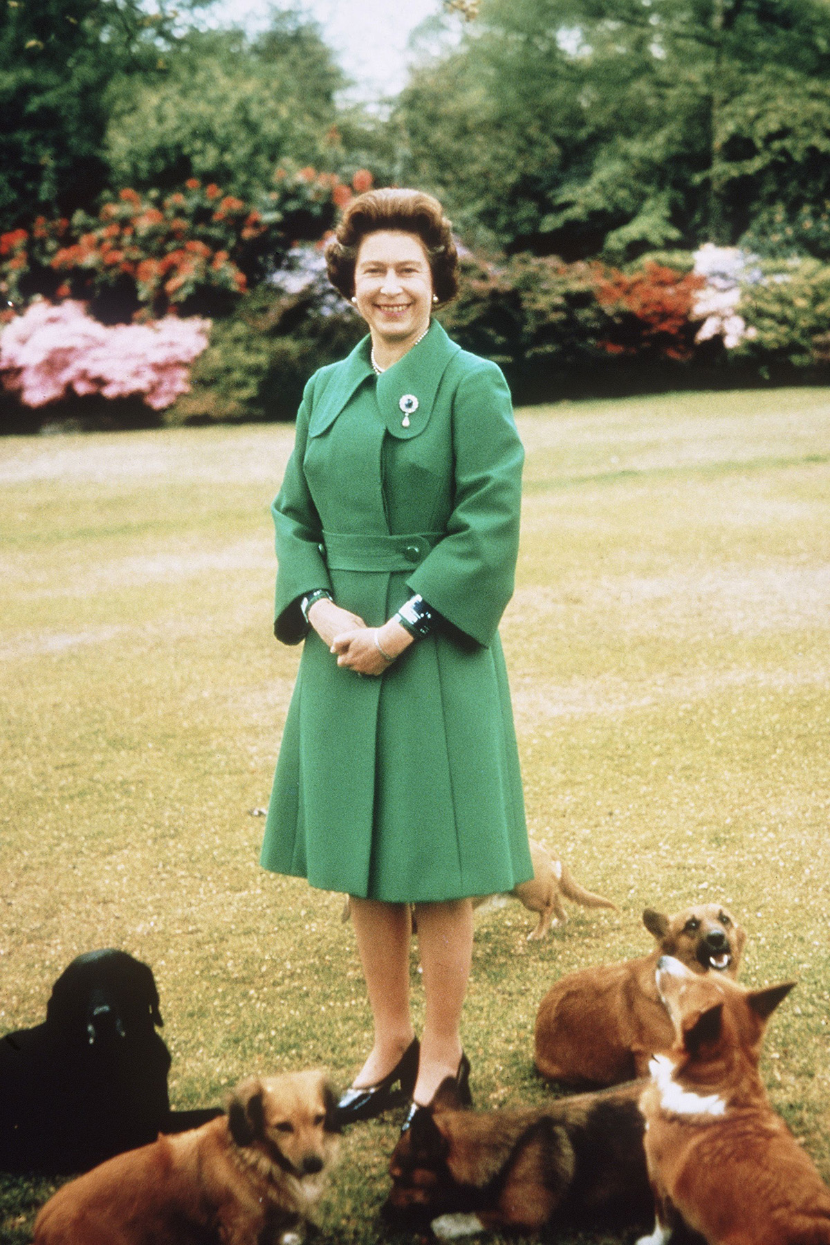 Елизавета II с собаками 